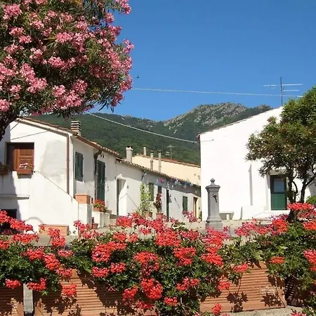 Sara 5